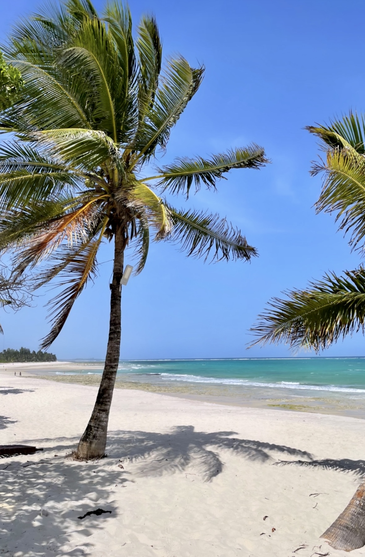 Diani Beach Ukundassa